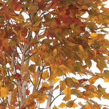 Load image into Gallery viewer, 7'H Birch Tree $475.00