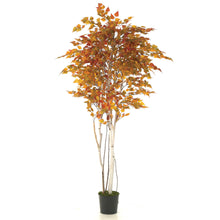 Load image into Gallery viewer, 7'H Birch Tree $475.00