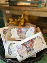 Load image into Gallery viewer, Paint Your Own Bath Bomb $16