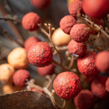 Load image into Gallery viewer, Warm Fall Berry Pick $10