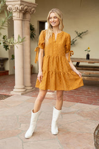 Tie Sleeve Textured Tiered Dress -$58